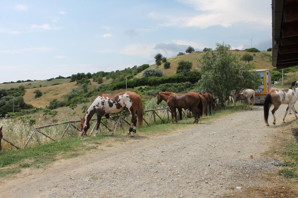 B&B Villa Sveva Rocca Imperiale Eksteriør billede